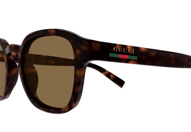 Gucci (Ταρταρούγα) - GG2106S 002 49 